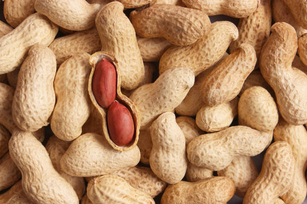 Peanuts